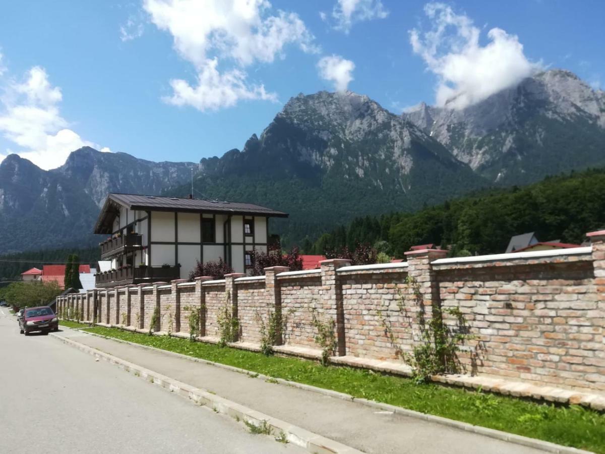 Vila Norbe Buşteni Exterior foto